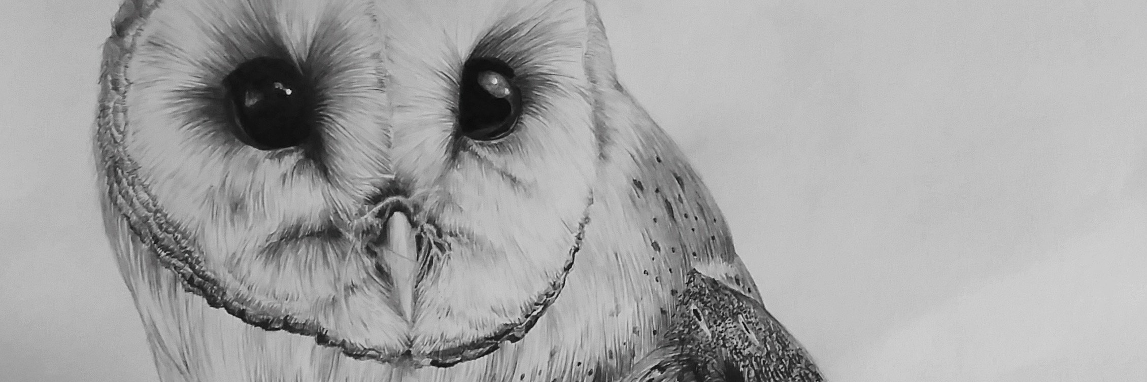 MaddyCaless's profile banner image