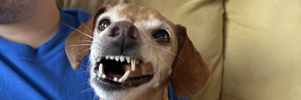 Cxlvn_ Profile Banner