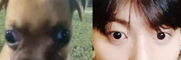 strcandies Profile Banner