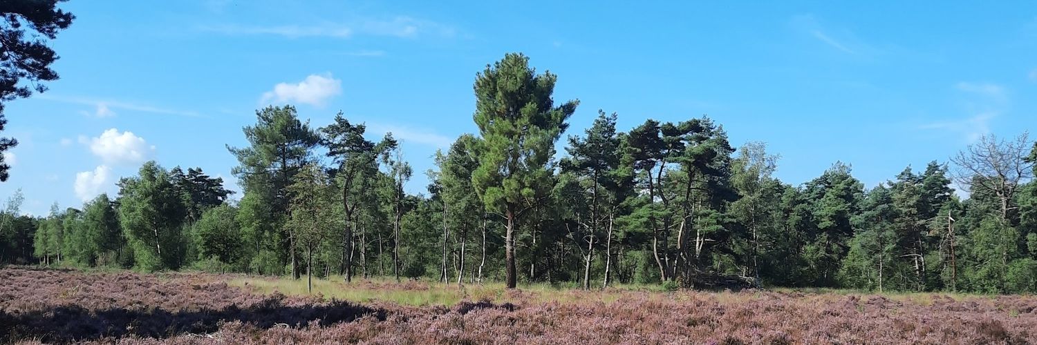 benadriaanssen's profile banner image
