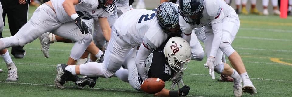 Ethan williamson banner