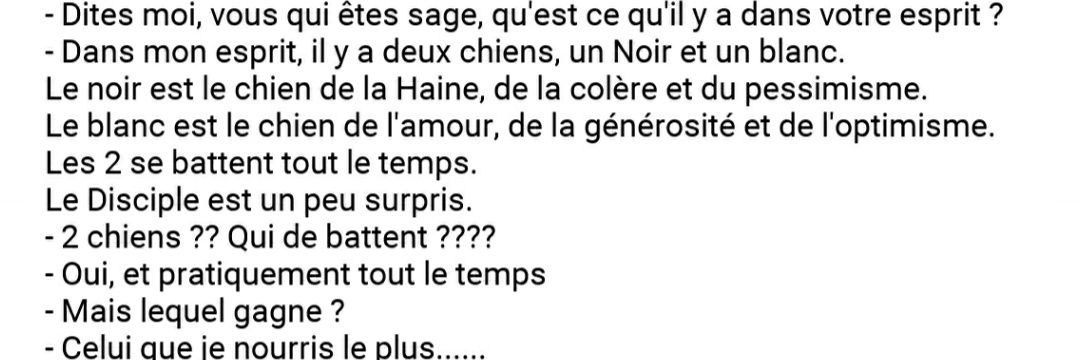 Wolfen ♏️🐺🐈 banner