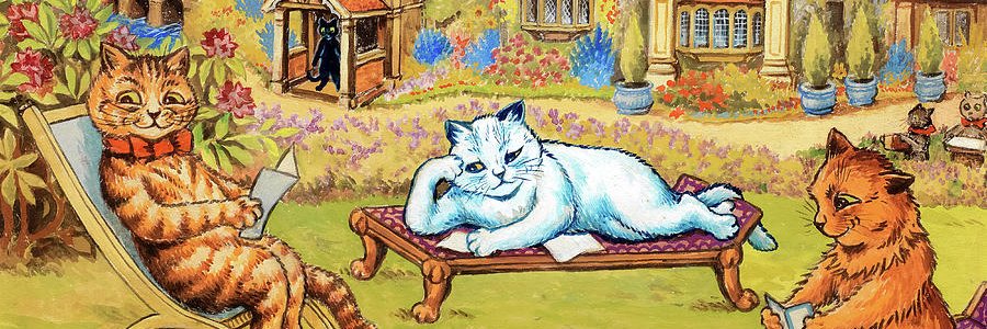 duine34's profile banner image