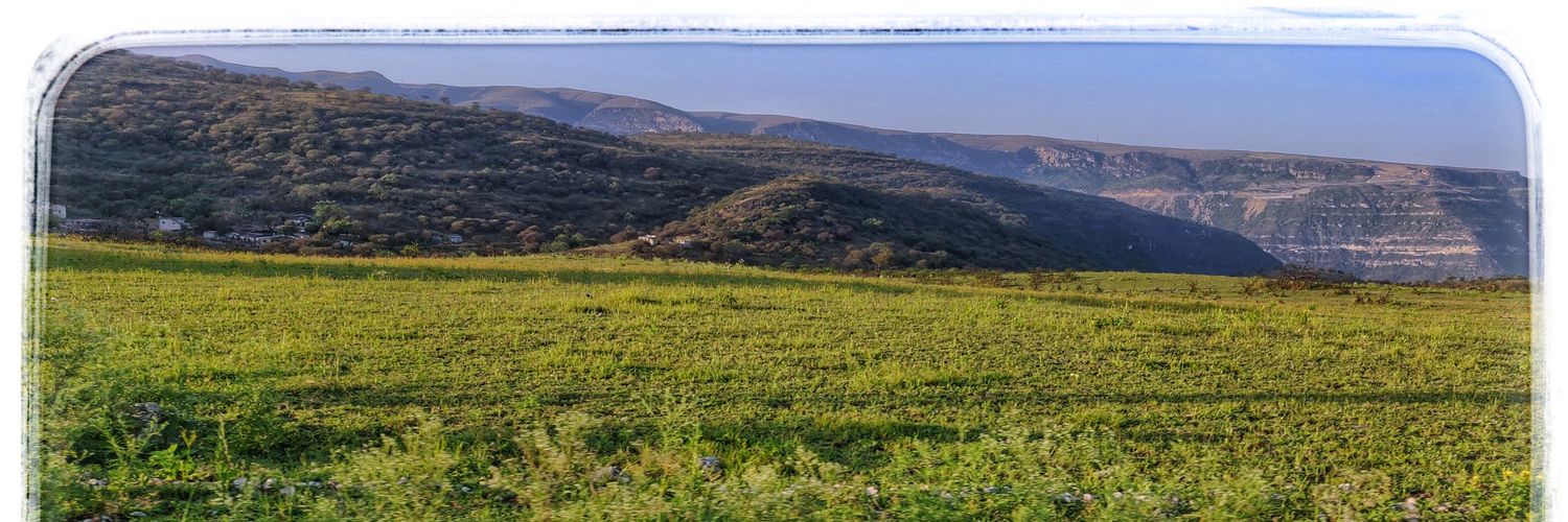 AaOrg's profile banner image