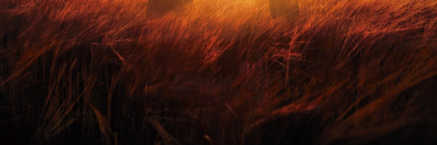 Lea Lynch banner