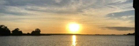 janetteram's profile banner image