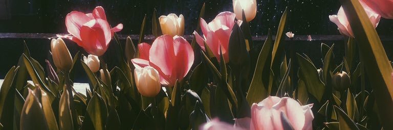 Jazz banner