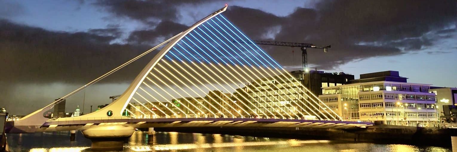 Embassy of Ireland in Ukraine's banner