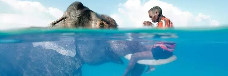 Being_Islander's profile banner image