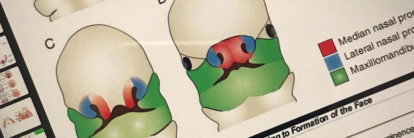 📂🖇 banner