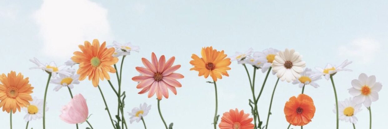 selcukkemine's profile banner image