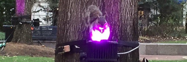 LightingSpy Profile Banner