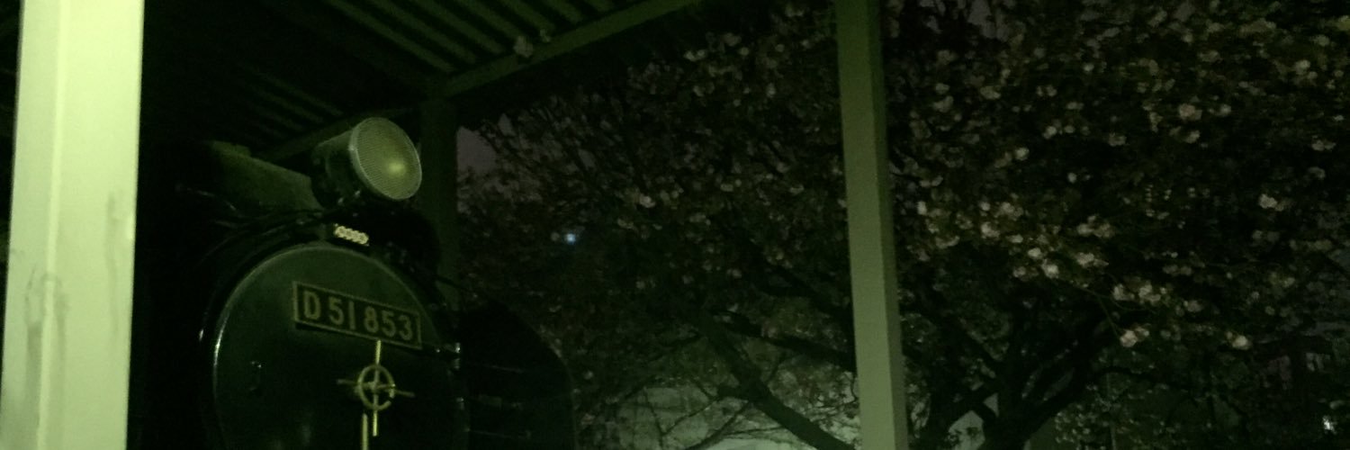 LMN5P's profile banner image