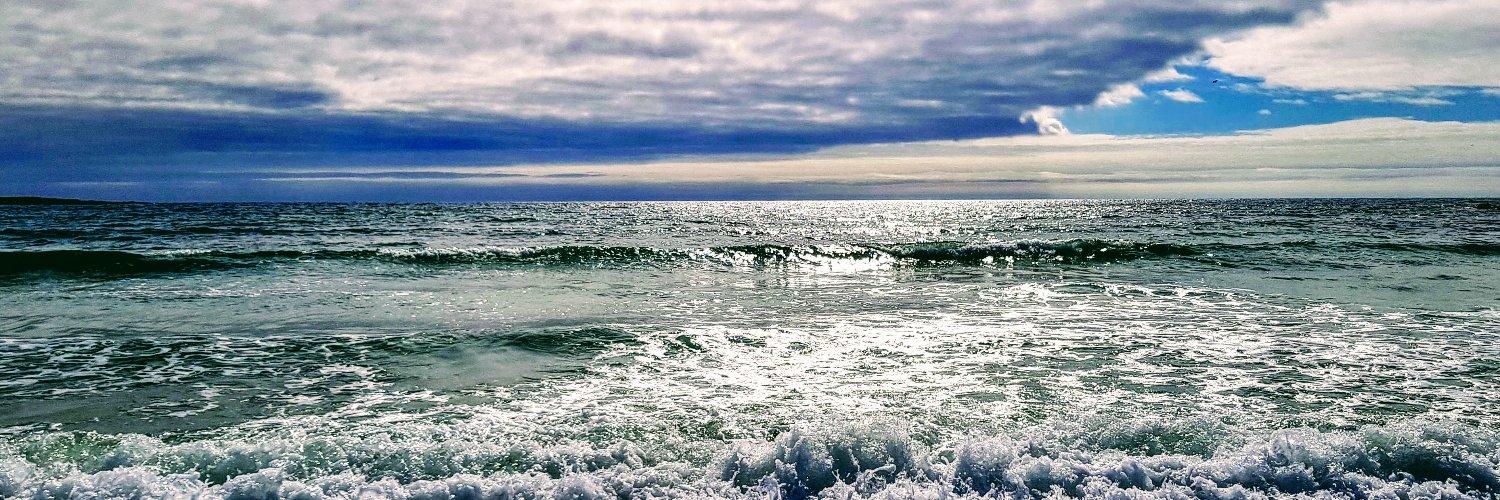 ScotIslandStudies banner