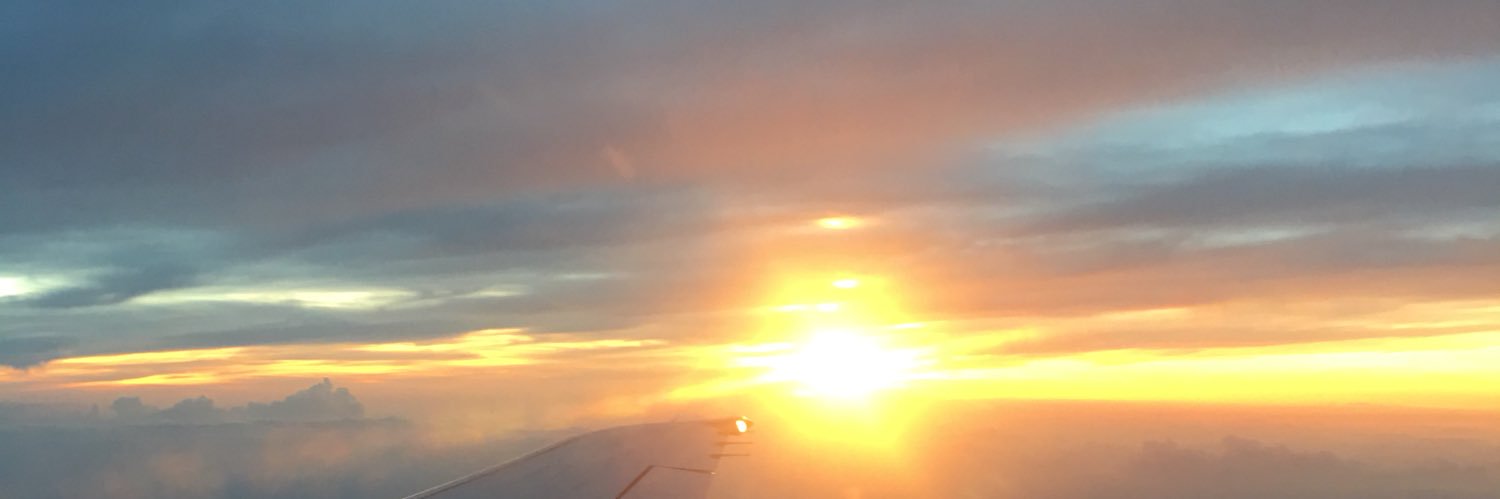 rogeriocoutin's profile banner image