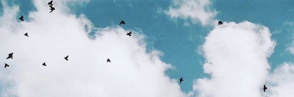 BSandalc's profile banner image