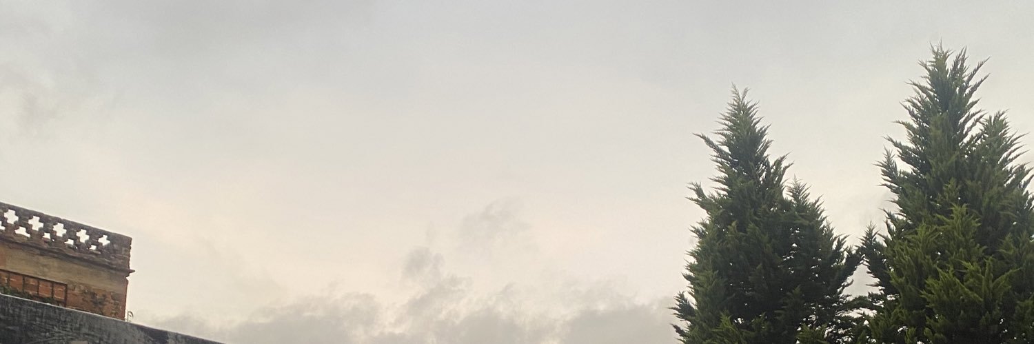 Sebastianlh's profile banner image