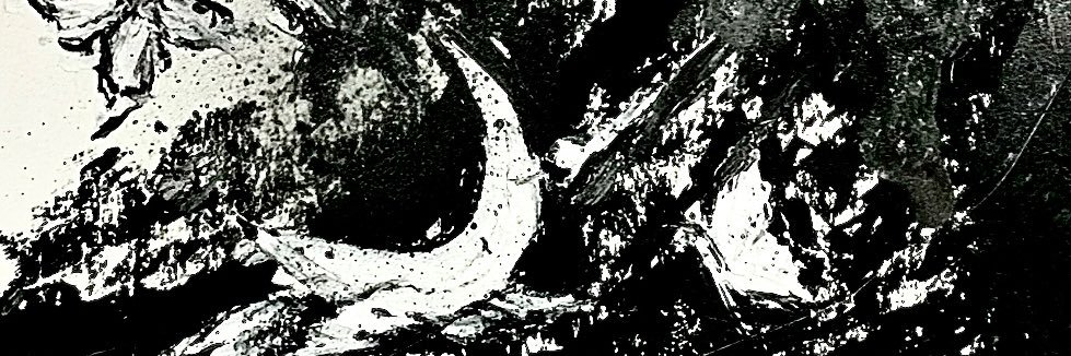 Kitty banner