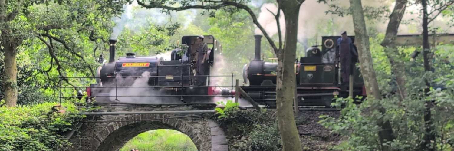 Tea Time Express banner