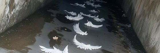 ᴊᴜɴk͓̽ie banner