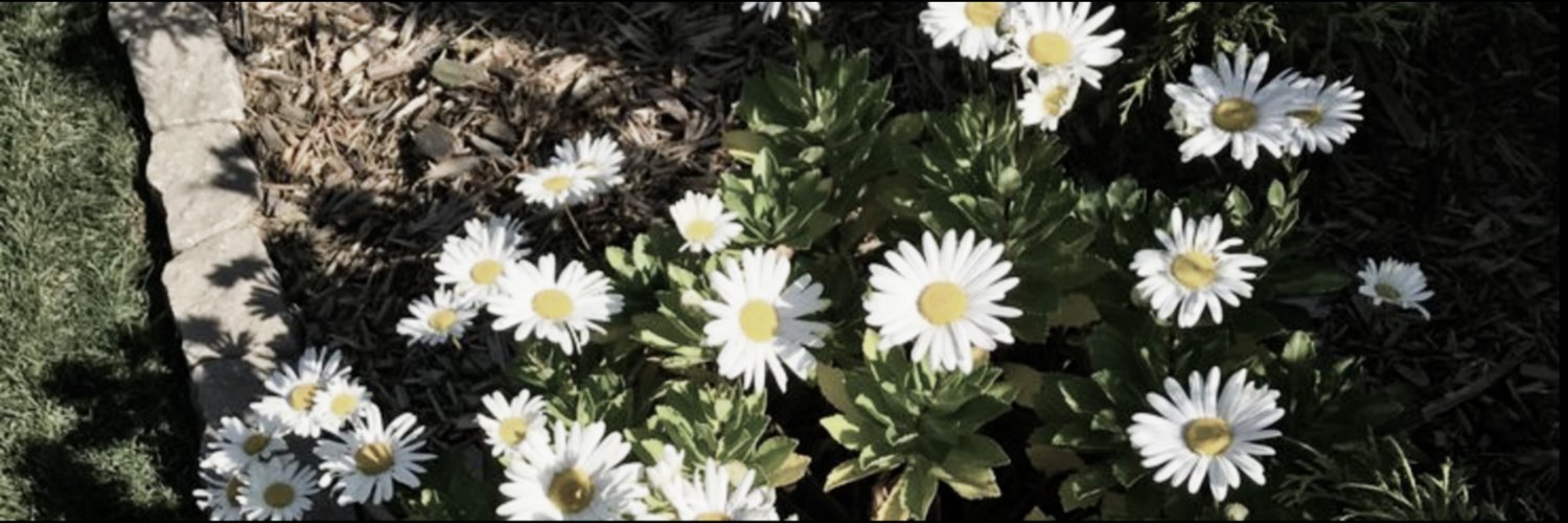 ࣪ banner