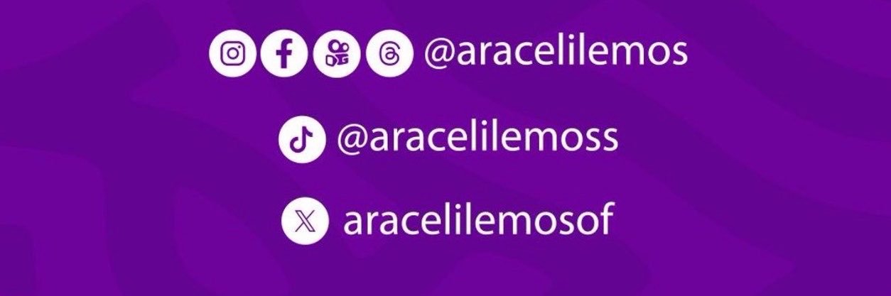 AraceliLemos's profile banner image