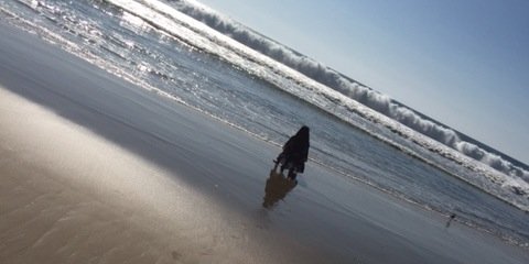 MiYayo_Bitxh's profile banner image