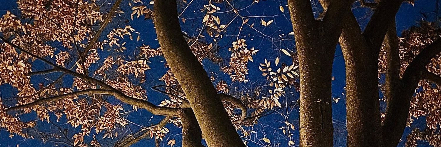 ryuuz06's profile banner image