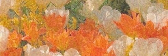 GAM55512's profile banner image