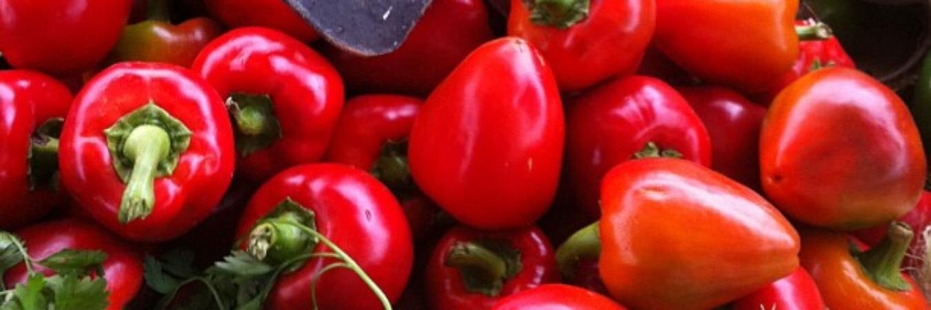 Ferias Libres Chile banner