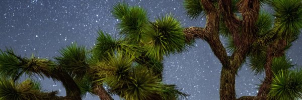 bypip Profile Banner