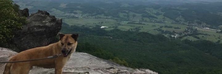 alykay_'s profile banner image