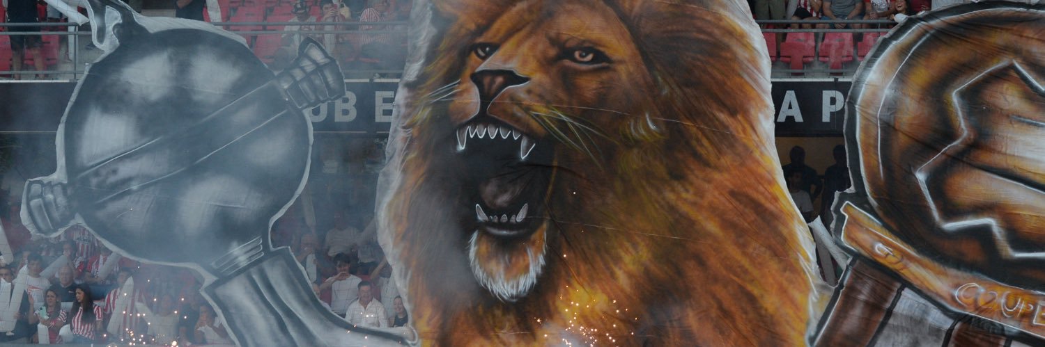 msurila's profile banner image