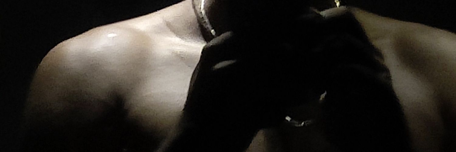Shadow | Wingbits banner