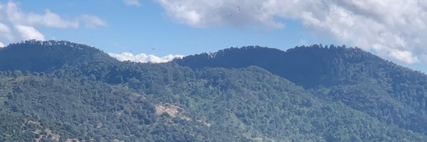 a_arredondoc Profile Banner