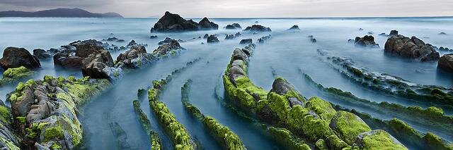 martlb #FreePalestine 🏳️‍🌈 ❤💛💜 banner