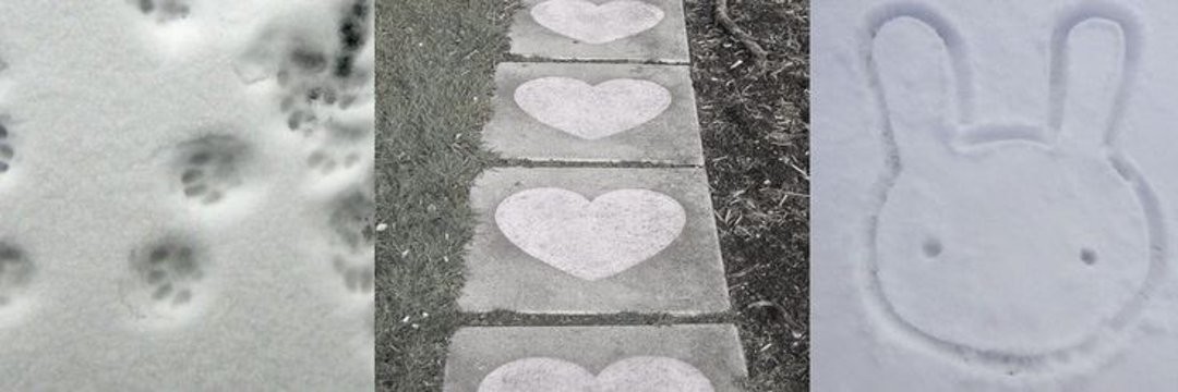 ًzen is resting banner