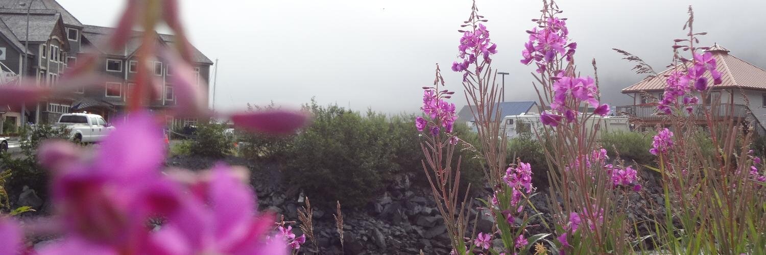 anajubl's profile banner image