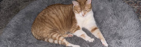 ksbrooks98 Profile Banner