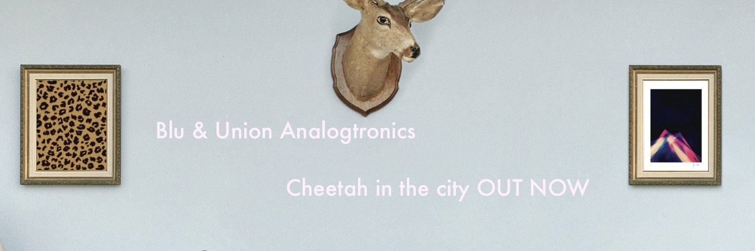 Union Analogtronics banner