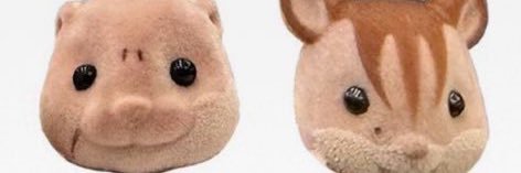 すぎの banner