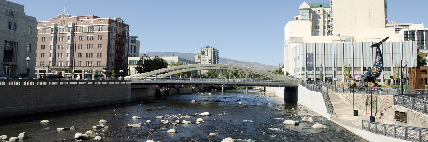 Washoe Basics banner