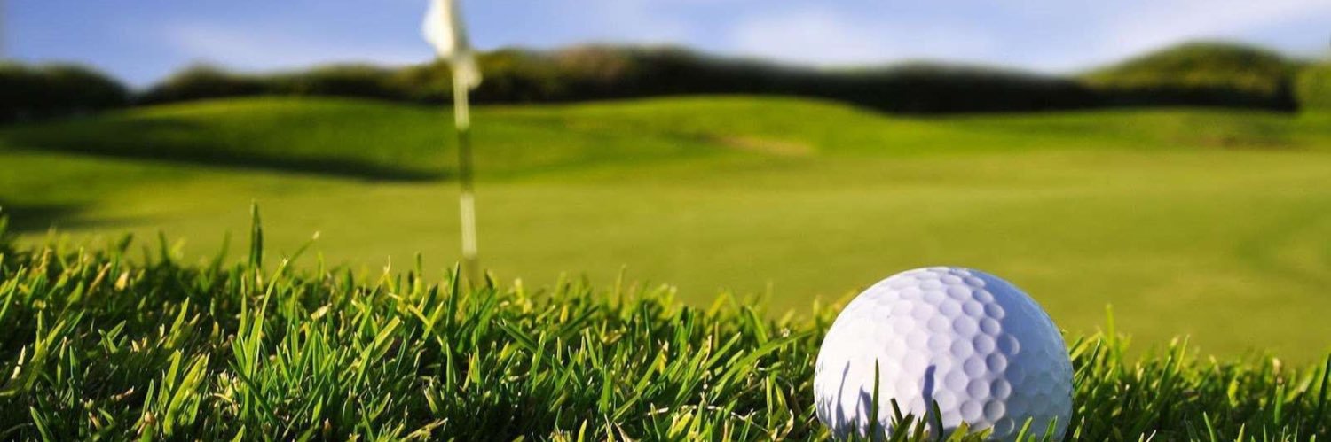 Pertti Henriksson banner