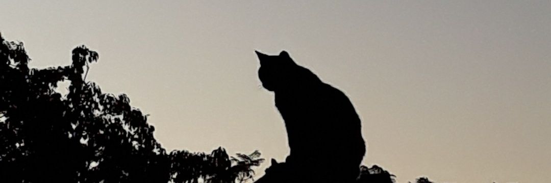 M52023589's profile banner image
