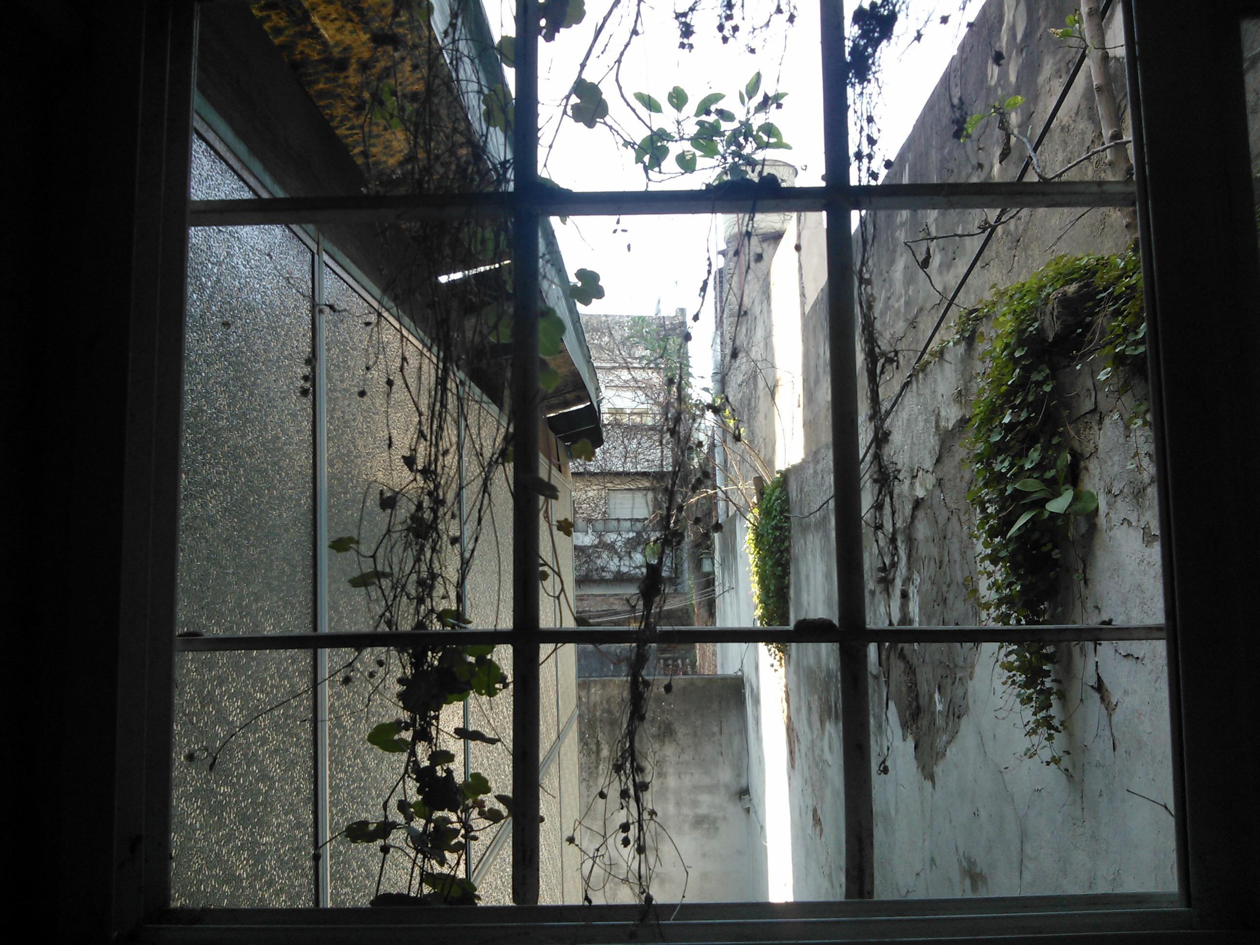 pata_murphy's profile banner image