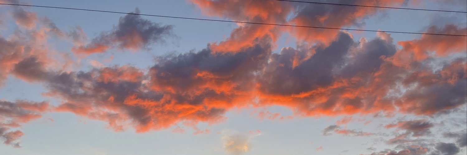 elsita banner