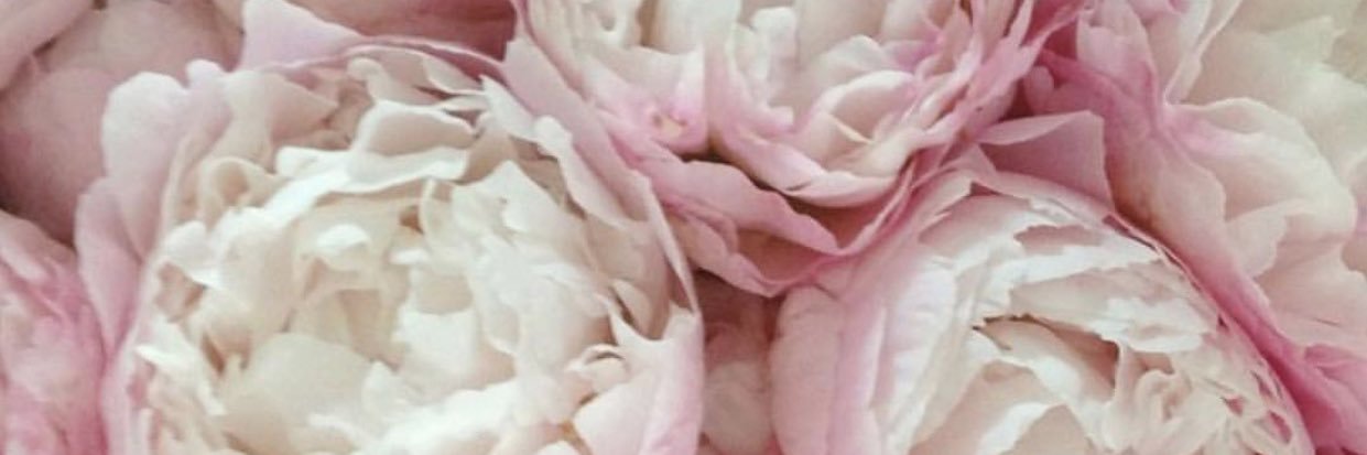 SimplyNelle's profile banner image