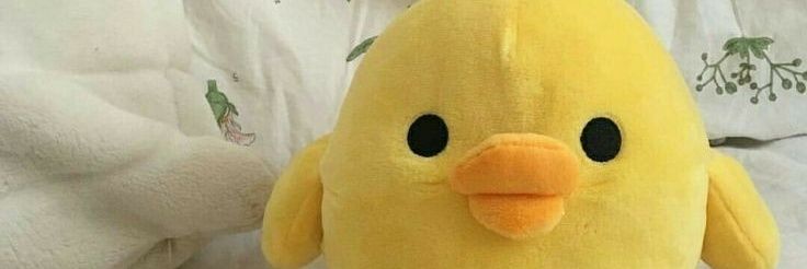sweenalyinnh's profile banner image
