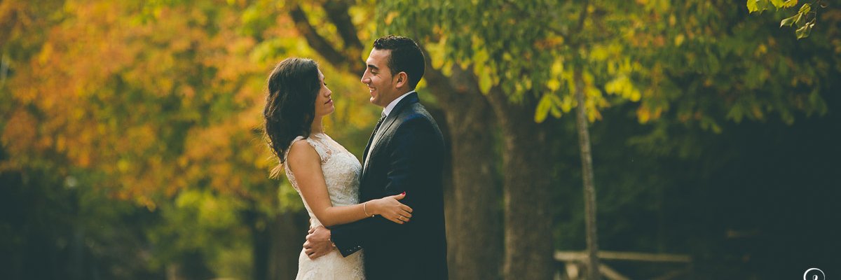 MordanLovers's profile banner image
