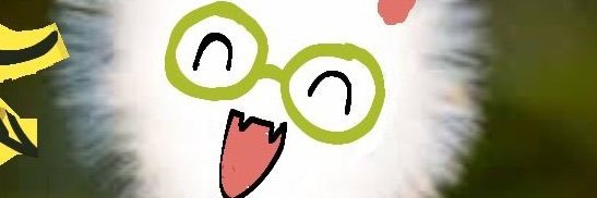 Miragexe 🍉 banner